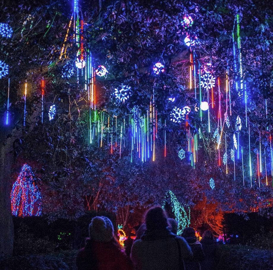 A spectrum of colourful Christmas lights shine above families at Chelsea's Ranelagh Gardens at the Royal Hospital at night