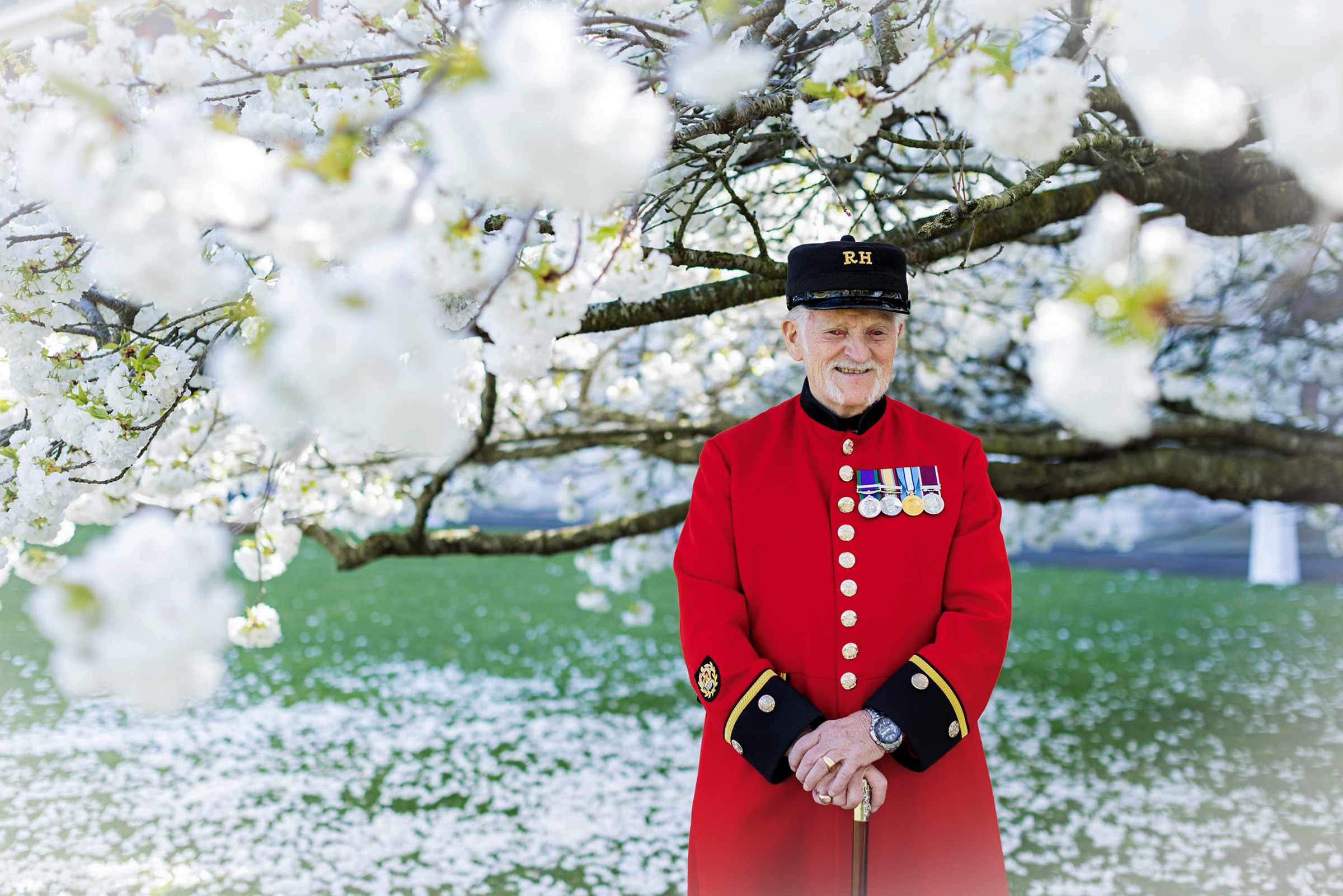 A Chelsea Pensioner in scarlet uniform standing with a cane beneath blossoming trees in the grounds of the Royal Hospital Chelsea.