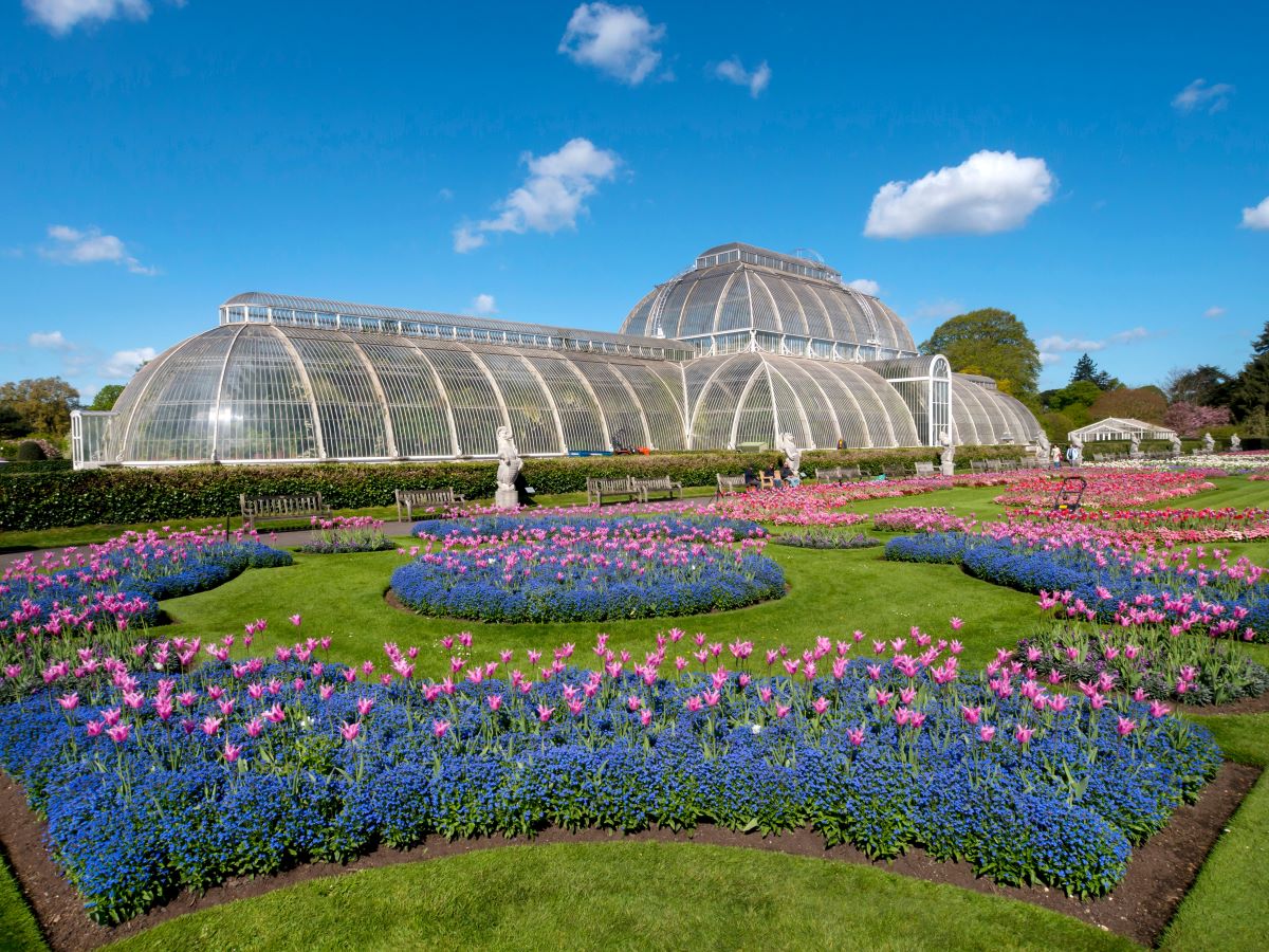 An image of Kew Gardens with its large glass structure and blue and pink flowers sprawled in front of it on a lush green lawn. Blue skies with a few small clouds can be seen overhead.