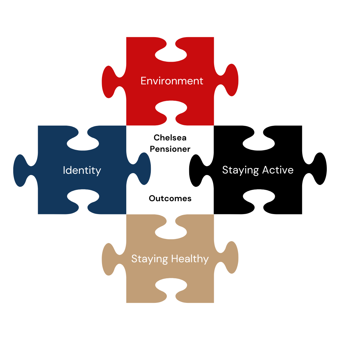 Diagram of four puzzle pieces connected with titles reading Environment, Staying Healthy, Staying Active, Identity