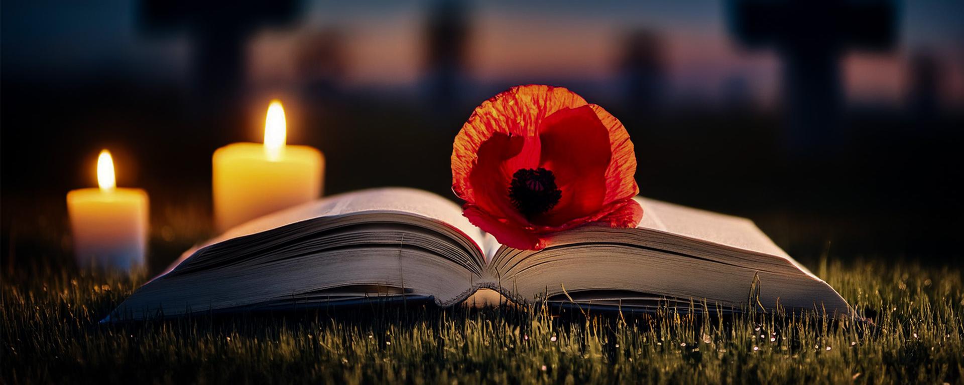 A single poppy lies on a book of remembrance in a military graveyard at night with candles illuminating the scene.