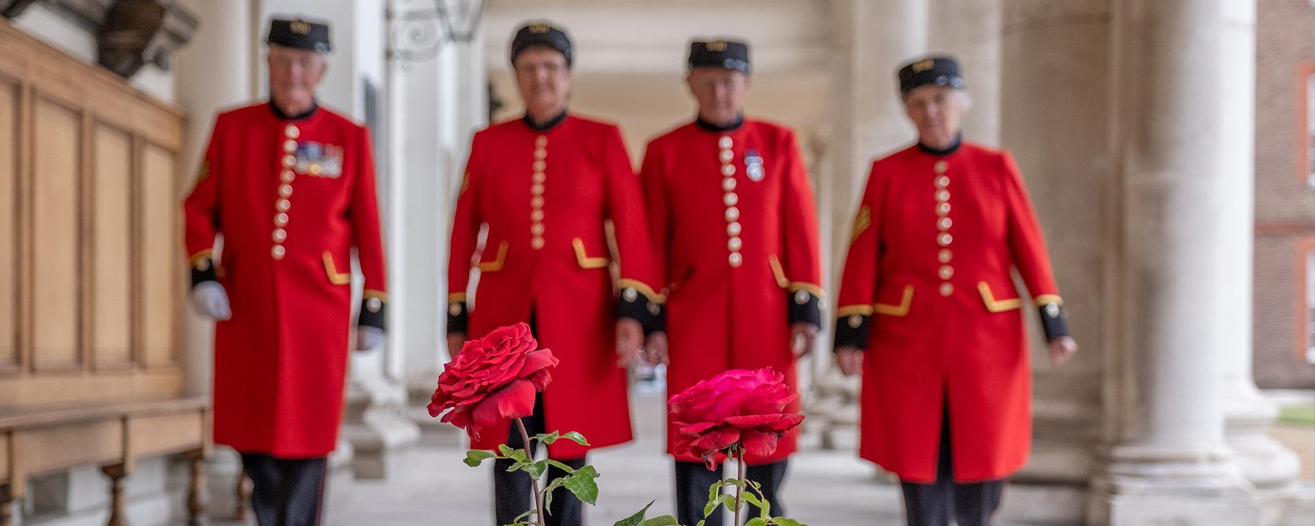 Scarlet coloured roses in the foreground as Chelsea Pensioners awash in Scarlet coats approach from the distance