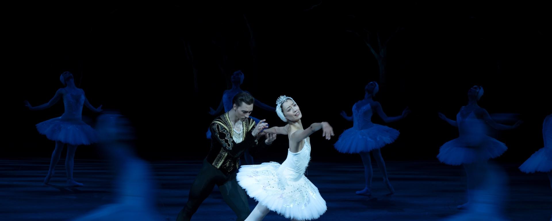 The English National Ballet - displaying a ballerina in all white and in the spotlight, surrounded by ballet dances cast in deep blue shadows