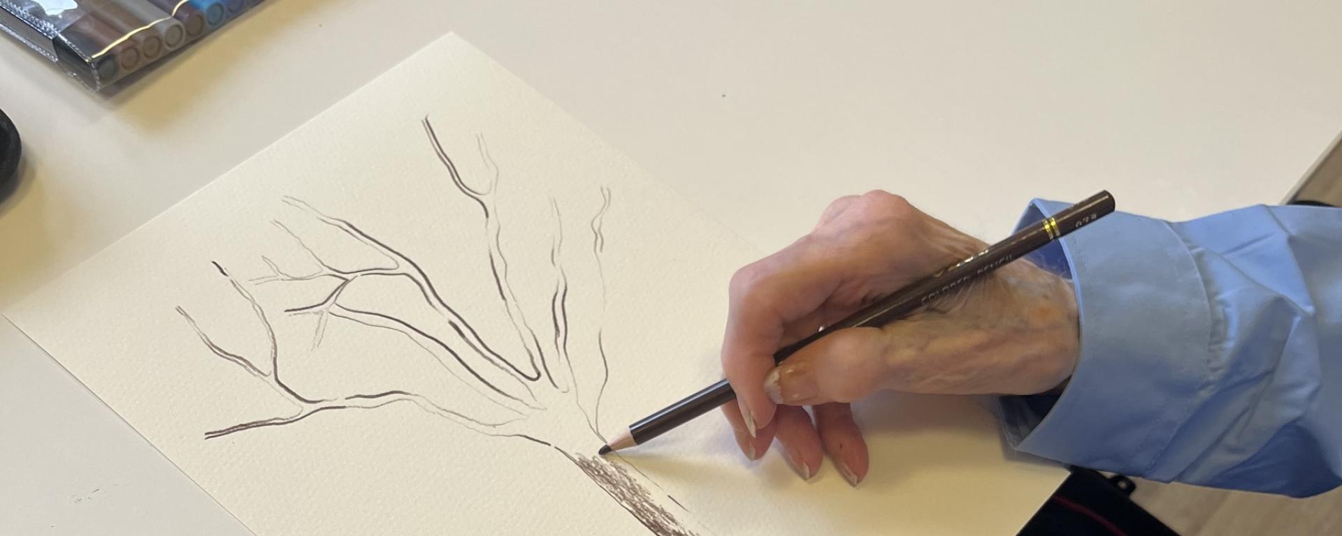 A hand holds a pencil as it draws the outline of a tree on a plain piece of paper