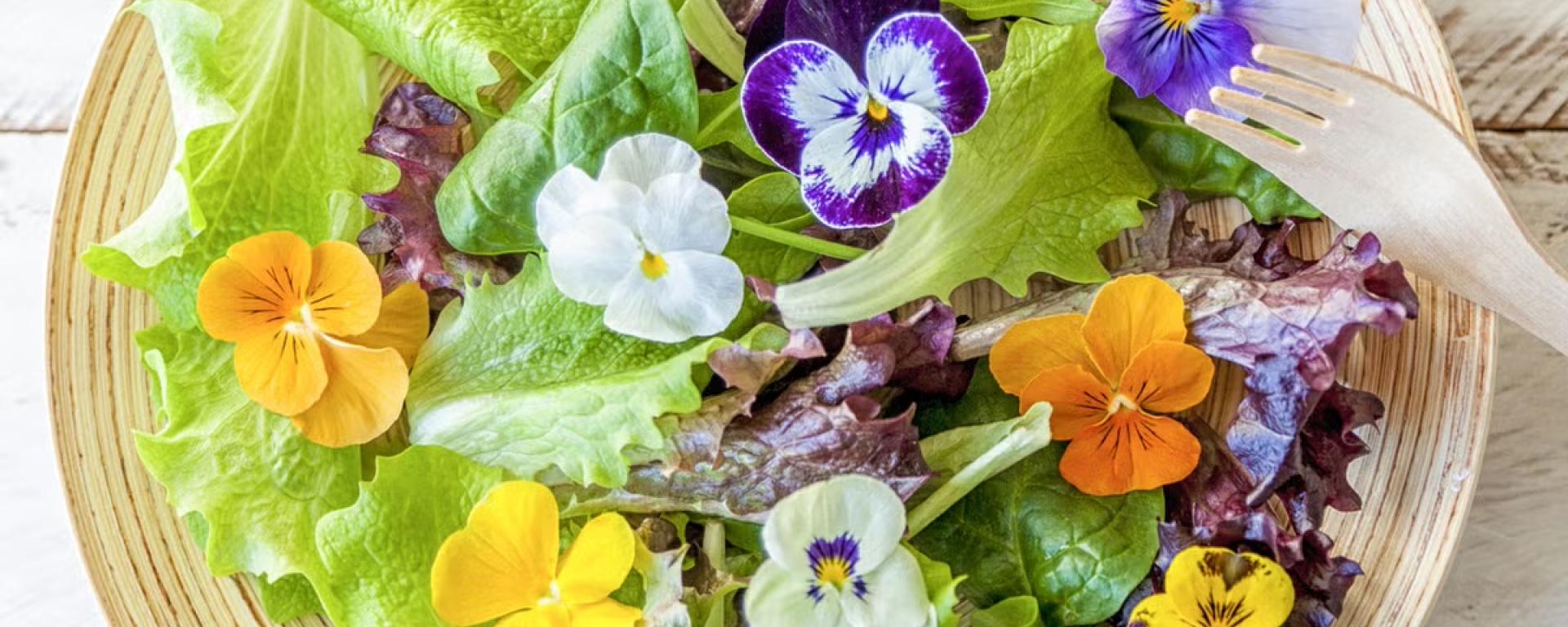 A plate of colourful edible flowers in yellows, purples and oranges - sit upon a bed of lettuce and salad leaves