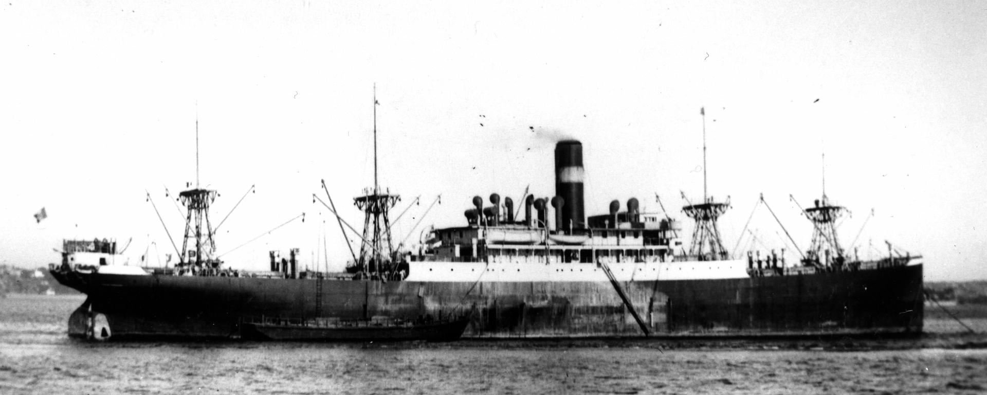 A vintage black and white photo depicts a large ship at sear and is captioned - SS Dutchess D'Aosta