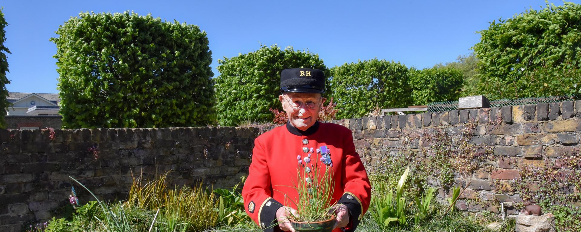 A Chelsea Pensioner in scarlet uniform holds a potted plant in a garden at the Royal Hospital Chelsea.