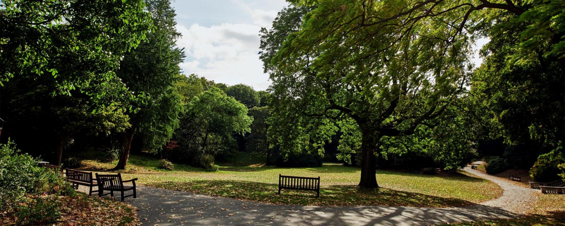 Ranelagh Gardens at the Royal Hospital Chelsea, featuring mature trees, winding pathways, open lawns and benches set within the historic landscaped grounds.