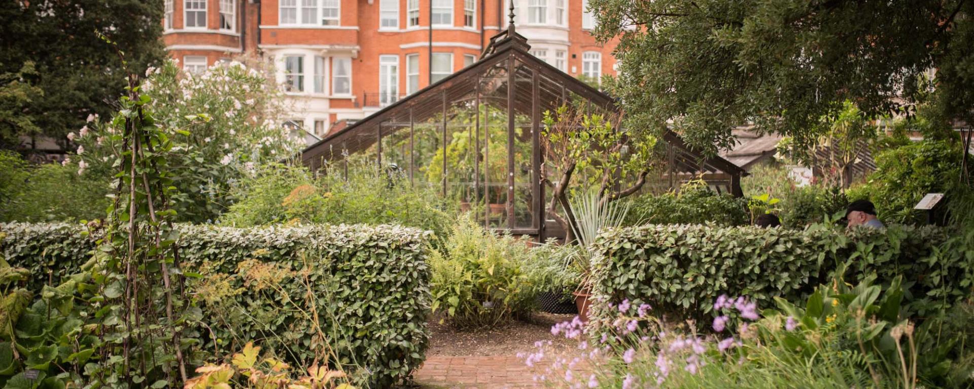 A weathered glass greenhouse stands amid overgrown hedges and flowering plants in a walled garden, with red-brick terrace houses visible behind.