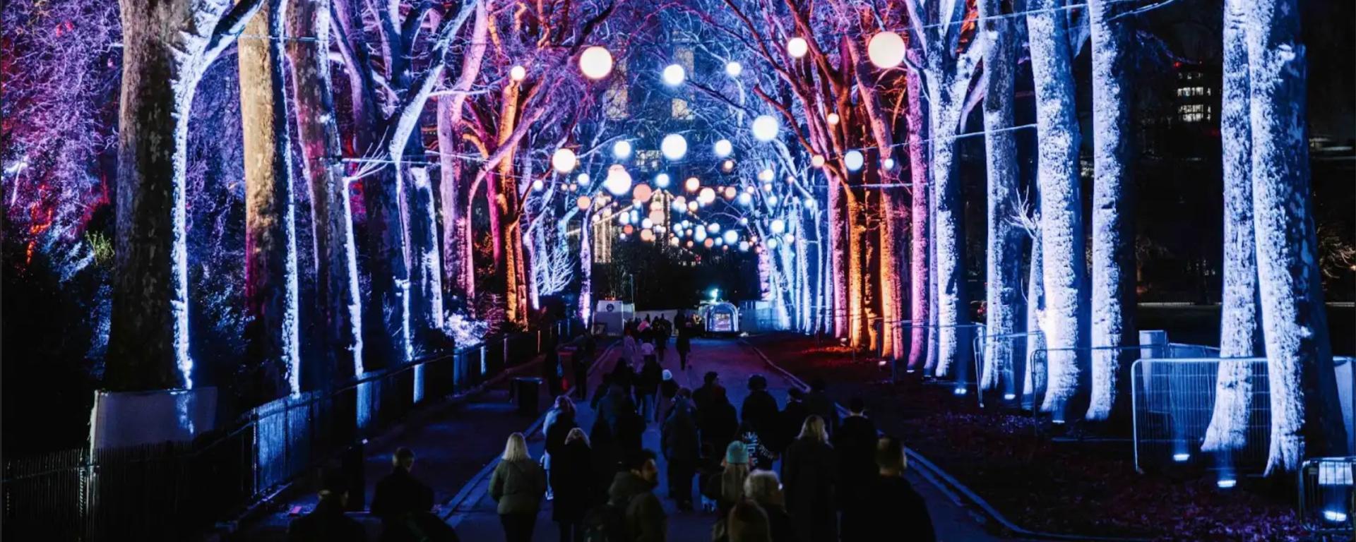 Visitors walk beneath a tree-lined avenue illuminated in blue and purple light, with glowing white spheres strung overhead, at night.