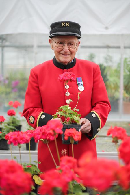 A Chelsea Pensioner in scarlet uniform holds a potted geranium among red flowers inside a greenhouse.