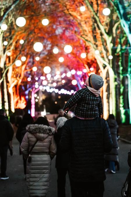 A child sits on an adult's shoulders beneath a canopy of trees lit orange and green with hanging globe lights, during an evening light trail at the Royal Hospital Chelsea."