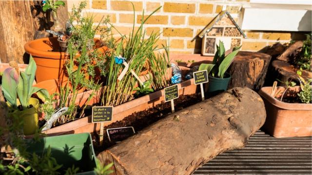 Archie's Easter and Dementia Gardens