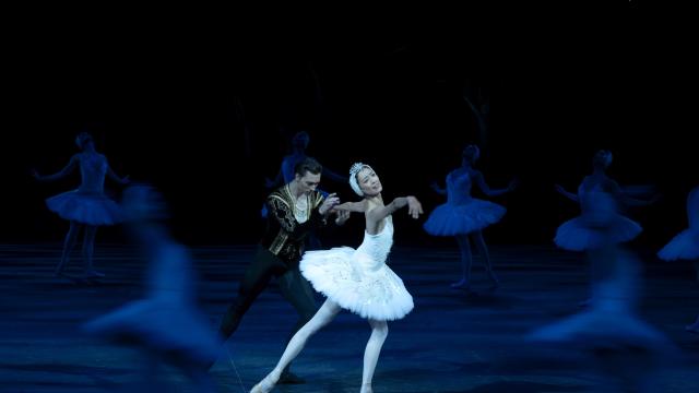The English National Ballet - displaying a ballerina in all white and in the spotlight, surrounded by ballet dances cast in deep blue shadows