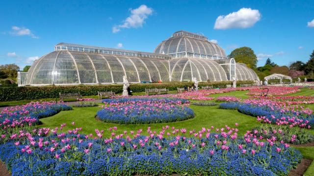 An image of Kew Gardens with its large glass structure and blue and pink flowers sprawled in front of it on a lush green lawn. Blue skies with a few small clouds can be seen overhead.